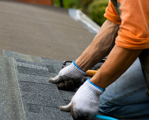 Best Local Roofing Companies  in Exander City, AL