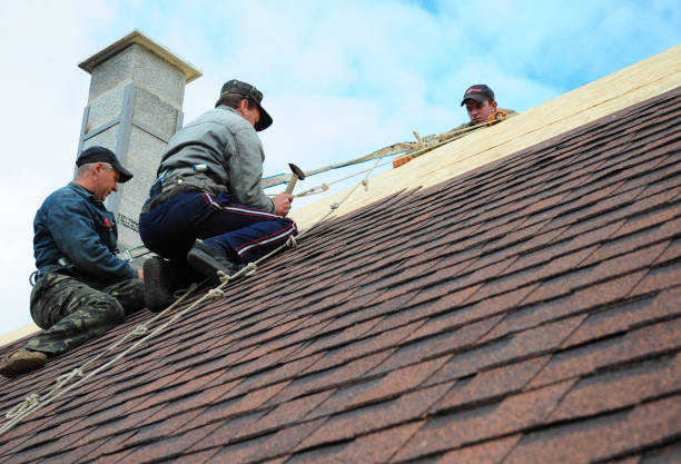 Best Roof Maintenance Services  in Exander City, AL