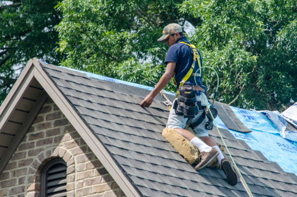 Best Storm Damage Roof Repair  in Exander City, AL